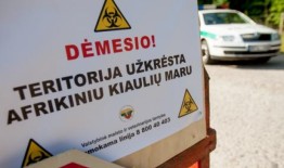 Informacija nukentėjusiems nuo afrikinio kiaulių maro