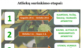 Aplinkosaugos projektas „Mes rūšiuojam. Vasara“ kviečia mažinti atliekas bendruomeniškai