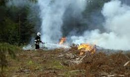 Informacija dėl lankymosi miškuose apribojimo