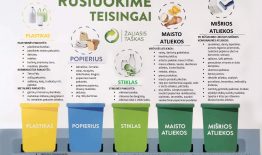 Rūšiuokime teisingai