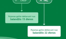 VMI skelbia pirmąjį pajamų deklaravimo etapą: nuo šiandien deklaruoti jau gali savarankiškai dirbantys