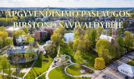 Apgyvendinimo paslaugų teikimo organizavimo rekomendacijos