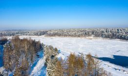 Informacija apie Birštono savivaldybės 2020 m. užimtumo didinimo programos įgyvendinimą
