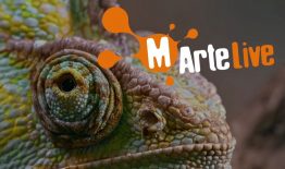 Kvietimas 18–35 m. amžiaus kuriančiam jaunimui ir jų grupėms teikti paraiškas konkursui „MArteLive Europa 2021“