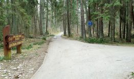 Žvėrinčiaus miške nusidrieks atnaujintas ir tolygus dviračių ir pėsčiųjų takas