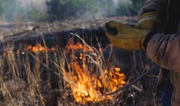 Pareiškėjų dėmesiui: deginti žolę pievose ir ganyklose draudžiama, už pažeidimus taikomos sankcijos