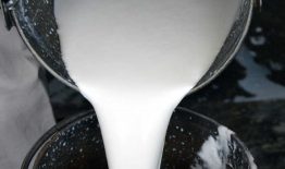 Nacionalinė parama pieno gamintojams – netrukus