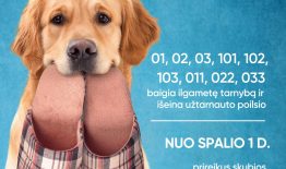 Visiems pagalbos prašymams Lietuvoje liks tik vienas skubiosios pagalbos tarnybų telefono ryšio numeris – 112
