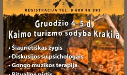 Patyriminė savaitgalio stovykla