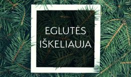 Birštono savivaldybėje jau surenkamos kalėdinės eglutės