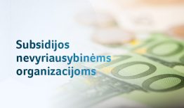 Paslaugas pandemijos metu teikiančioms nevyriausybinėms organizacijoms – 2 mln. eurų