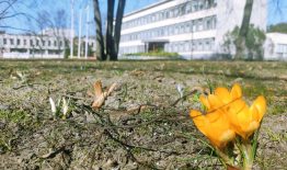 Kovo 24 d. vykusio Birštono savivaldybės tarybos posėdžio metu priimti svarbiausi sprendimai