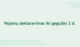 VMI kviečia gyventojus teikti pajamų ir turto deklaracijas
