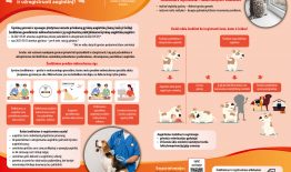 Kodėl reikia paženklinti ir užregistruoti augintinį?