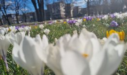 Birštono savivaldybės vadovų sveikinimas šv. Velykų proga!