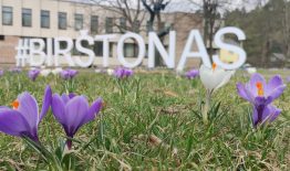 Kviečiame į Birštono savivaldybės administracijos komandą Biudžeto ir apskaitos skyriaus vyriausiąjį specialistą