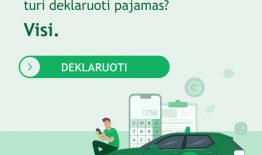 Gyventojams liko mažiau nei mėnuo deklaruoti pajamas iš individualios veiklos