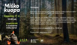 Kviečiame į miškų tvarkymo talką – Lietuvoje jau antrą kartą vyks „Miško kuopa“