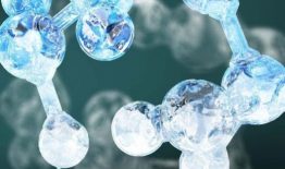 Kviečiame į neakivaizdinę jaunųjų biochemikų mokyklą