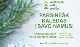 PARSINEŠK KALĖDAS Į SAVO NAMUS! –  gražiausioms metų šventėms besiruošiantiems gyventojams dovanojamos nemokamos eglių šakos