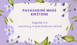 Kviečiame į pavasarinę mugę gegužės 5 d.