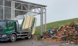Pavasarinis kapų tvarkymas: tvarus, be plastiko ir dirbtinių gėlių