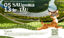 Festivalis – Saugoma ir TAU