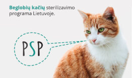 „Pagauk – sterilizuok – paleisk“  –  beglobių kačių sterilizavimo programa Lietuvoje