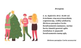 Kvietimas NVO nariams pasigaminti kalėdinius žaisliukus ir jais papuošti eglę