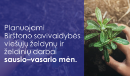 Informacija apie planuojamus Birštono savivaldybės viešųjų želdynų ir želdinių darbus sausio–vasario mėn.