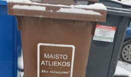 Šaltis „sukaustė“ ir konteinerius – prišalusių atliekų ištuštinimo teks palaukti