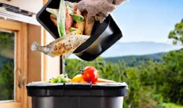 Penki nauji klausimai apie maisto ir virtuvės atliekų rūšiavimą