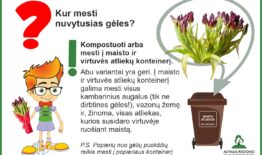 Kur mesti nuvytusias gėles?