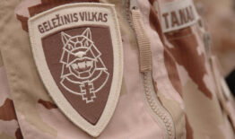 Kovo 24–29 d. planuojamos Lietuvos kariuomenės Pėstininkų brigados „Geležinis Vilkas“ lauko taktikos pratybos