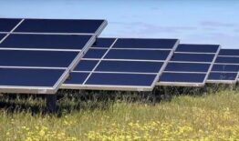 DĖMESIO! Kviečiame į nuotolinį renginį dėl paramos saulės elektrinėms