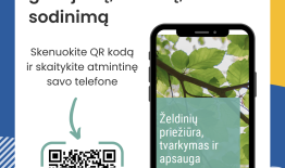 Želdinių priežiūra, tvarkymas ir apsauga