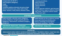 Padidėjęs sergamumas parvovirusine infekcija
