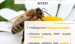 VMVT primena apie prasidedantį bičių deklaravimo laikotarpį: kaip tai padaryti paprastai ir greitai ?