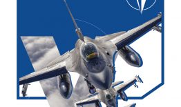 Kviečiame švęsti Lietuvos narystės NATO 21 metų sukaktį
