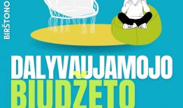 Birštono gimnazijoje vyksta „Dalyvaujamojo biudžeto“ projektų konkursas 5–12 klasių moksleiviams