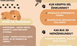 Perkate ar perimate katę, šunį ar šešką? Nuo šiol save kaip augintinio šeimininką turite įregistruoti – paprasčiau ir skaitmeniniu būdu
