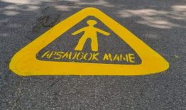 Rugsėjį Birštone vyks akcija „Apsaugok mane“