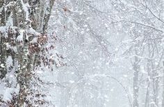 Vairuotojai raginami būti atsargūs: eismo sąlygas sunkins snygis