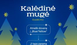 Blue/ Yellow Kalėdinė mugė gruodžio 14 d.