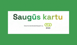 „ESO“ ir Delfi kviečia gyventojus ir įstaigas registruoti generatorius