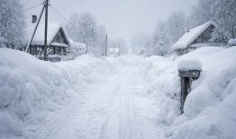 Galimi atliekų konteinerių ištuštinimo sutrikimai