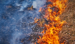 Žolės deginimo prevencija: ką svarbu padaryti šiandien? Žolės gaisrai – pavojus gamtai ir žmonėms