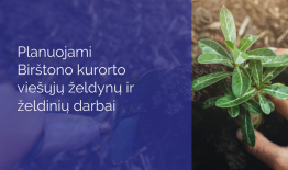Informacija dėl želdinių tvarkymo darbų Birštono kurorte