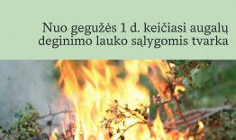 Nuo gegužės 1 d. keičiasi augalų deginimo tvarka