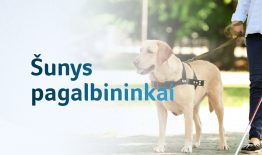 Įsigalioja ilgai lauktas įstatymas: šuns pagalbininko parengimą kompensuos valstybė